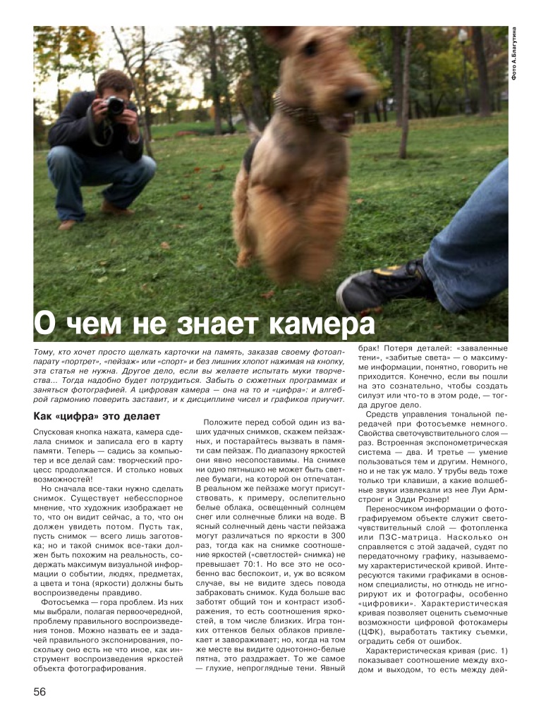 page_2006_08_56.jpg