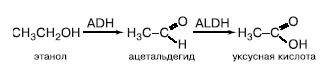 antialco formula.jpg